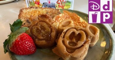 Deluxe Dining Plan is Back for 2027!
