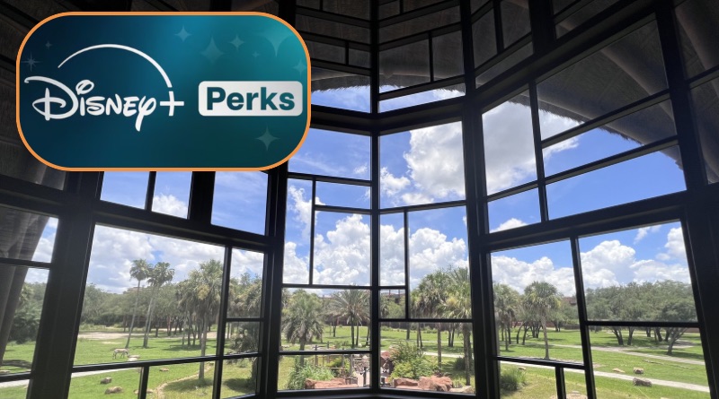 New Summer Room Offer for Disney+ Perks Members