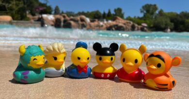 8 Tips for Visiting Disney’s Water Parks on Your Check-In Day