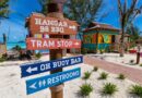 10 Things You Should Know About the New Mickey and Minnie Cove Cabanas