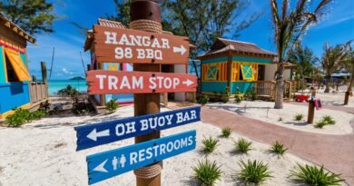 10 Things You Should Know About the New Mickey and Minnie Cove Cabanas