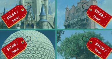 New Disney World “After 2pm” Ticket Offer! Let’s Do the Math!