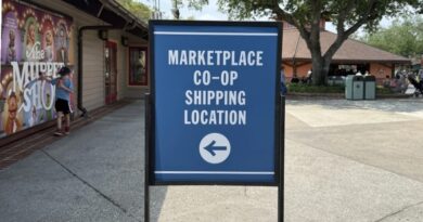 Shipping Your Treasures Home Might Be the Best Deal at Disney World