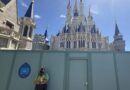 New Castle Painting and Hollywood Studios Construction Photos New Castle Painting and Hollywood Studios Construction Photos