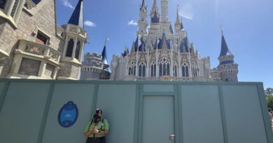 New Castle Painting and Hollywood Studios Construction Photos