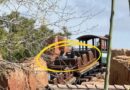 Is a Big Thunder Soft Open Coming Soon? ‘Cause WE SEE PEOPLE!! Is a Big Thunder Soft Open Coming Soon? ‘Cause WE SEE PEOPLE!!