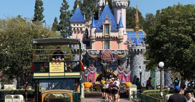 Top 5 Disneyland Rides for Families
