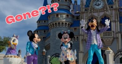 Is the Magic Kingdom Welcome Show Gone for Good?