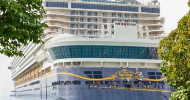 My 10 First Impressions of the Disney Adventure