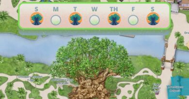 The Best Day of the Week to Visit Disney’s Animal Kingdom
