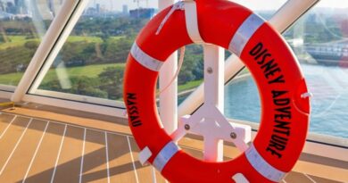 The 10 Biggest Misses on the Disney Adventure