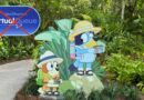 Bluey’s Wild World Removing Virtual Queue June 2nd