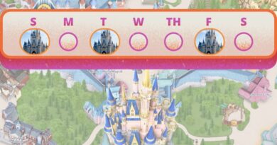 Disney Data Dump: What’s the Best Day of the Week to Visit the Magic Kingdom?