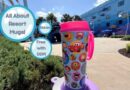 All About Disney Rapid Refillable Mugs All About Disney Rapid Refillable Mugs