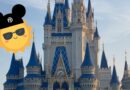 Price Increases on Disney Summer Essentials: Where to Find What You Need for Less