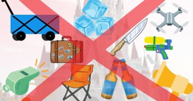10 Things You Cannot Bring Into a Disney World Park