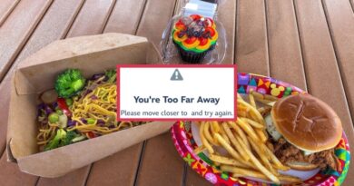 Disney Turns on Geofencing for Most Magic Kingdom Resort Mobile Orders