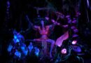 Disney Data Dump July 15 2026 Disney Data Dump July 15 2026