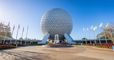 Disney Data Dump July 29 2026