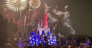 Disney Data Dump July 8 2026