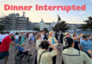 What Happens When You Are Evacuated From A Disney World Restaurant? What Happens When You Are Evacuated From A Disney World Restaurant?
