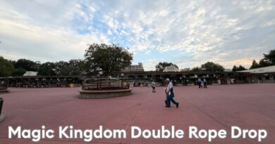 Double Rope Drop Testing in the Magic Kingdom