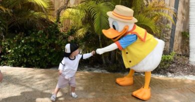 10 Tips For Cruising With a Toddler