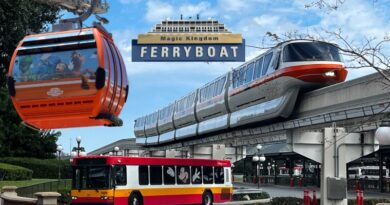 Guide to Disney World Transportation