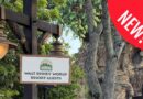 New Early Entry Procedures at Disney’s Animal Kingdom New Early Entry Procedures at Disney’s Animal Kingdom