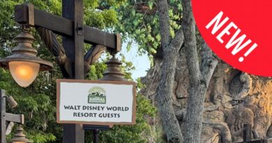 New Early Entry Procedures at Disney’s Animal Kingdom