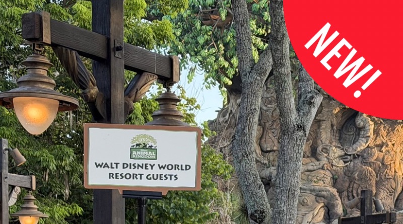 New Early Entry Procedures at Disney’s Animal Kingdom New Early Entry Procedures at Disney’s Animal Kingdom