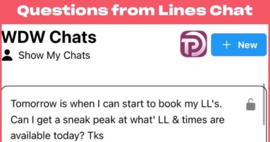 Questions From Lines Chat: Lightning Lane Preview