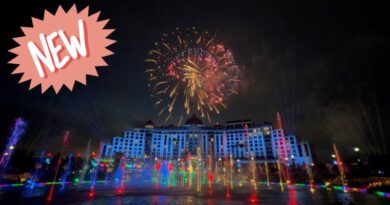 New! Epic Universe Debuts New Fireworks, Universal Celestial Goodnight