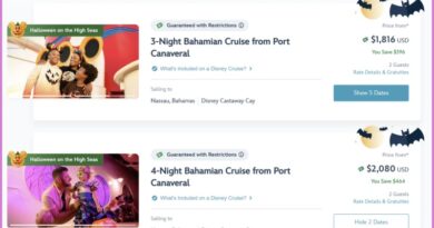 10 Things You Need to Understand Before Booking a GT Rate on Disney Cruise Line