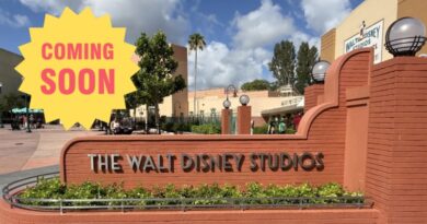 Opening Date Announced for The Magic of Disney Animation