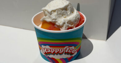 Downtown Disney Happy Ice Review