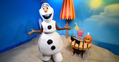 Disney Data Dump August 5 2026