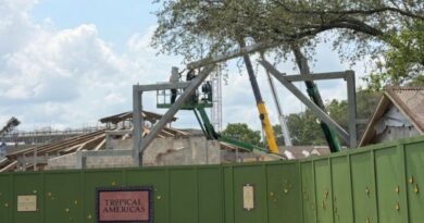 Animal Kingdom Changes from Last Week: Photo Tour