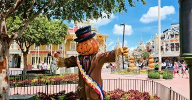Disney Data Dump September 30 2026