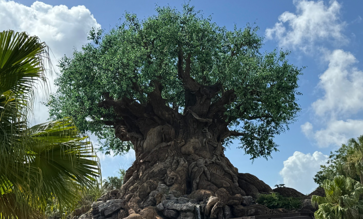 Animal Kingdom Rope Drop Guide | TouringPlans.com Blog