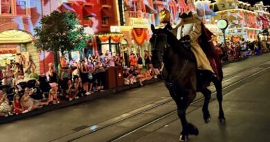 Disney Data Dump October 14 2026