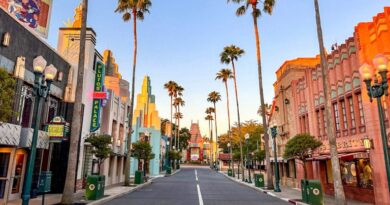 Disney Data Dump October 21 2026 Disney Data Dump October 21 2026