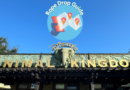 Animal Kingdom Rope Drop Guide Animal Kingdom Rope Drop Guide