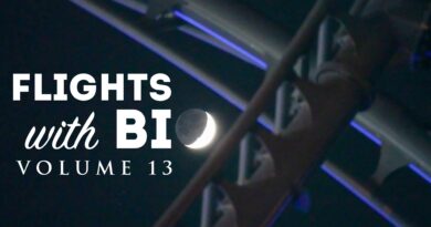 The SATURDAY SIX Presents: Flights with Bioreconstruct vol 13 (Hollywood Drift Pull Test, Celestial Bodies, Tropical Americas and MORE!)) The SATURDAY SIX Presents: Flights with Bioreconstruct vol 13 (Hollywood Drift Pull Test, Celestial Bodies, Tropical Americas and MORE!))