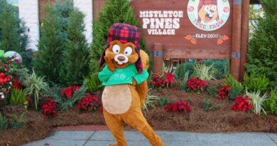 Holidays at Universal Orlando 2026 Guide Holidays at Universal Orlando 2026 Guide